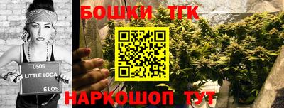 эйфоретик Дубна