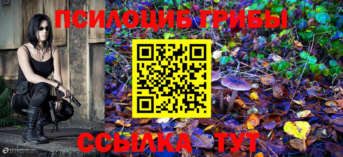 Галлюциногенные грибы Psilocybine cubensis  Вход с VPN  Псилоцибиновые грибы мухоморы  Джанкой 